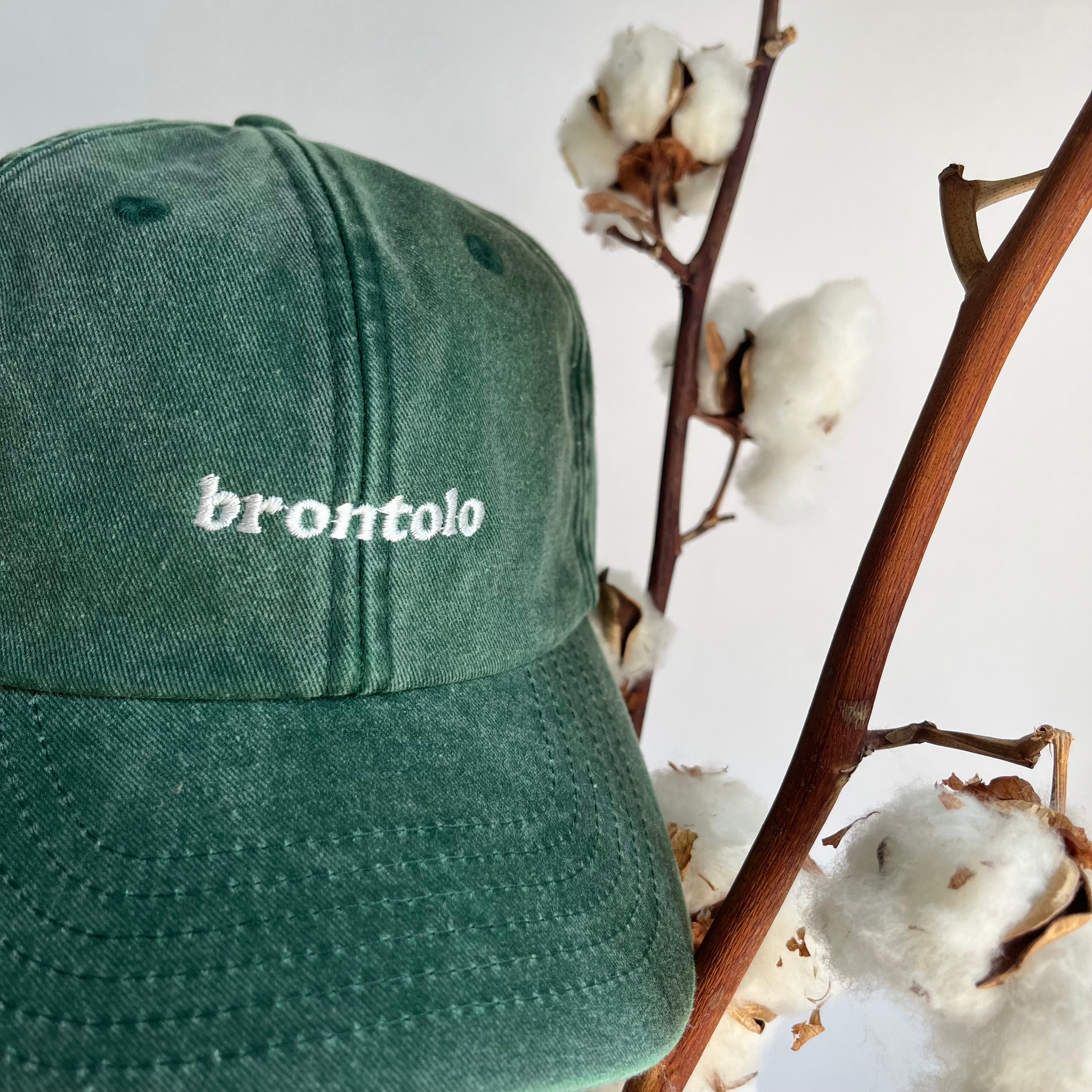 BRONTOLO